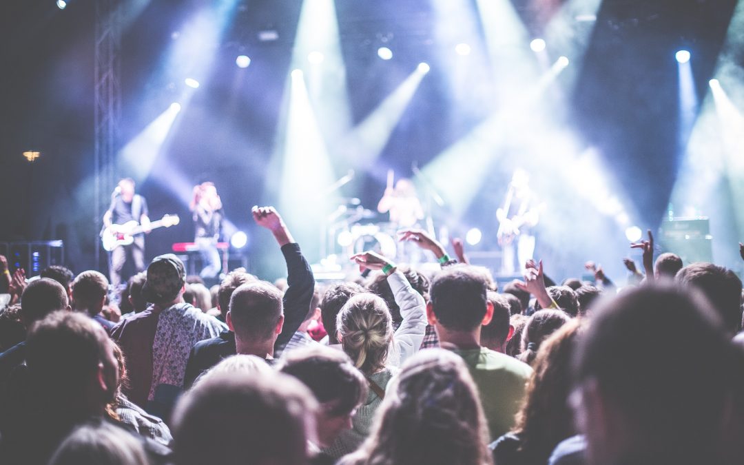 Celebrity Security – a guide to keeping VIPs safe