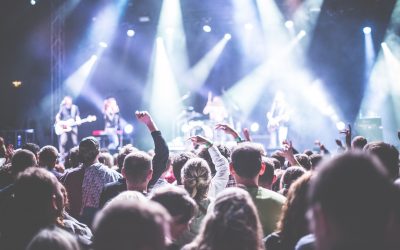 Celebrity Security – a guide to keeping VIPs safe
